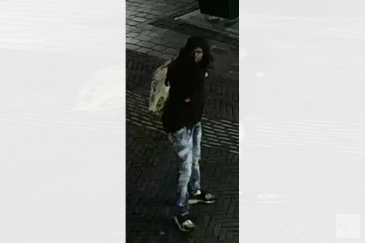 Gezocht: Wie kent deze inbrekers in Zwolle?