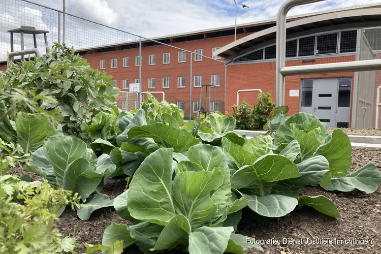 Enthousiasme over Plantje Voor Morgen in gevangenis Zwolle