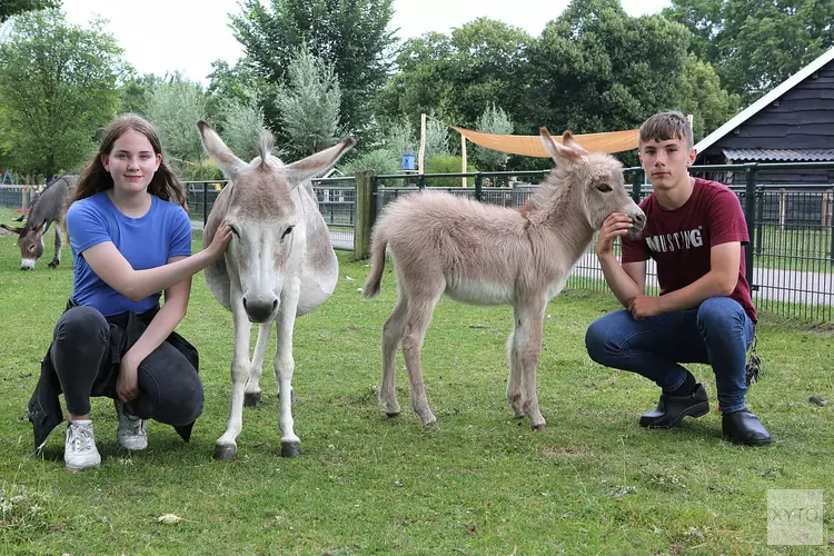 Senioren op pad bij Kinderboerderijen Zwolle