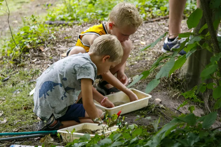 Gratis inspiratiebijeenkomsten voor leerkrachten: duik in de fascinerende wereld van insecten