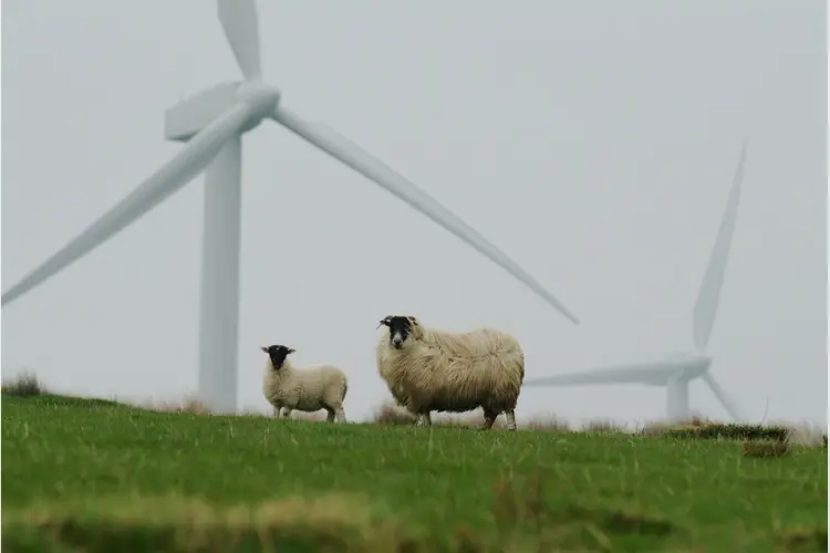 Energiepark Tolhuislanden stap dichterbij