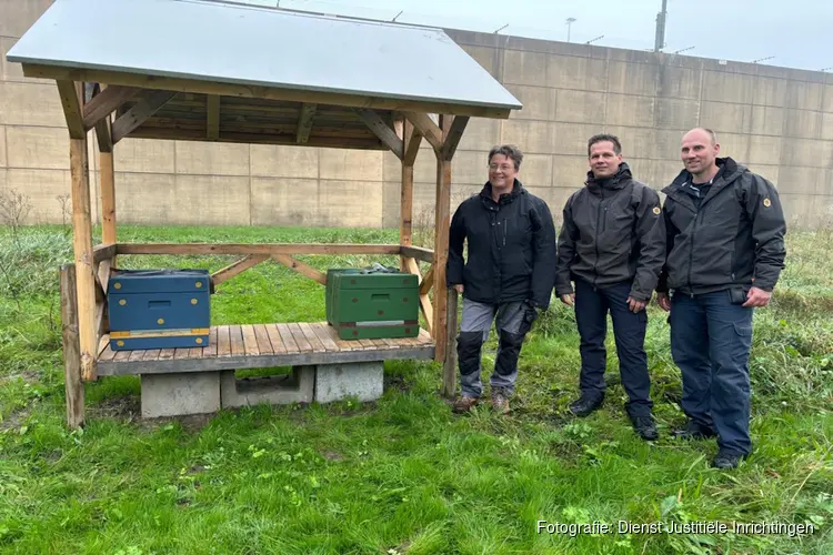 ‘Groene’ gevangenis Zwolle biedt plek aan bijen en insecten