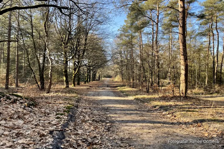 Van Heerder heide naar Zwolse bos